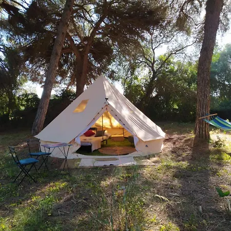 Micielo - Baumhaeuser Lodge *
