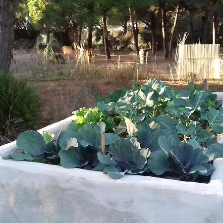 Micielo - Baumhaeuser Lodge Vejer de la Frontera