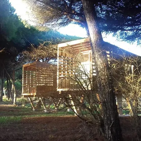 Lodge Micielo - Baumhaeuser Vejer de la Frontera