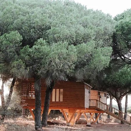 Micielo - Baumhaeuser Lodge Vejer de la Frontera