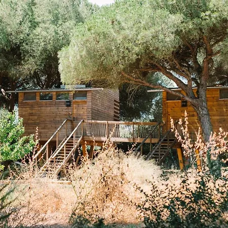 Lodge Micielo - Baumhaeuser *