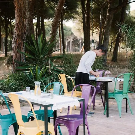 Lodge Micielo - Baumhaeuser Vejer de la Frontera