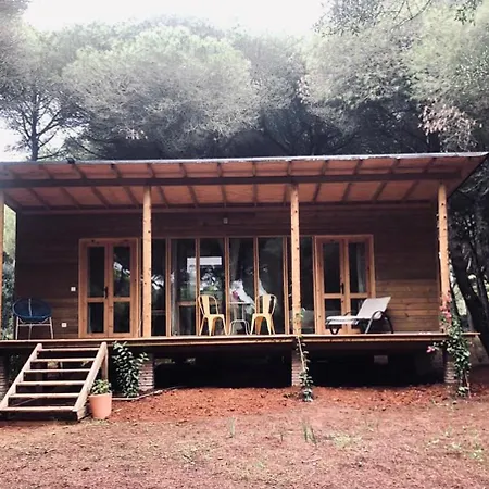 Lodge Micielo - Baumhaeuser