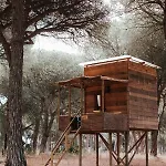 Lodge Micielo - Baumhaeuser