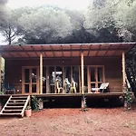 Lodge Micielo - Baumhaeuser