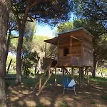 Lodge Micielo - Baumhaeuser