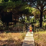 Micielo - Baumhaeuser Vejer de la Frontera